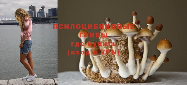 ГАЛЛЮЦИНОГЕННЫЕ ГРИБЫ Волоколамск