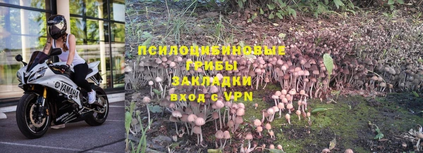 соль курить ск Волосово