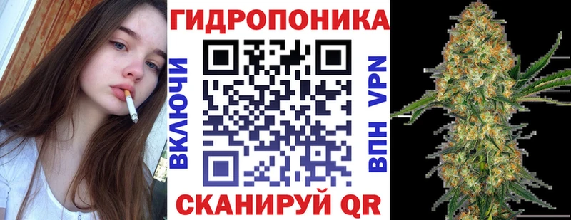 Конопля Amnesia  Купить где  Лихославль 